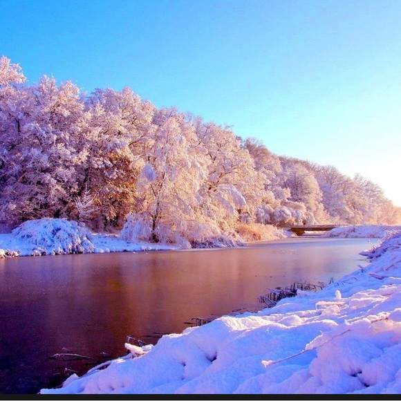 Meet your Posher, Marc - Picture 5 of 16